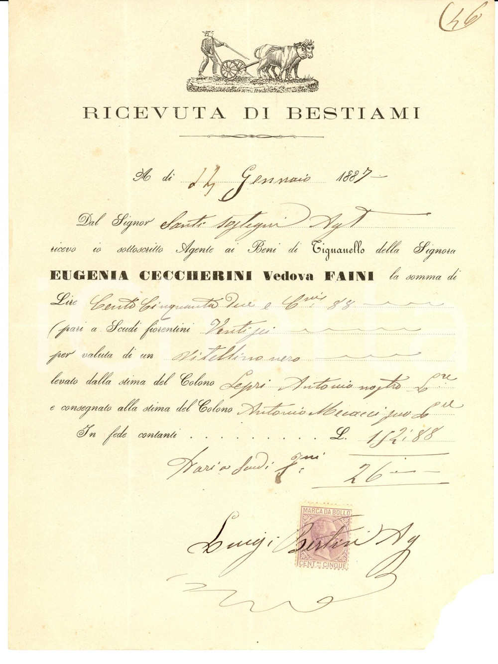 Documento originale, autentico 1887 TIGNANELLO FI Vitellino Eugenia CECCHERINI FAINI Ricevuta di vendita 1