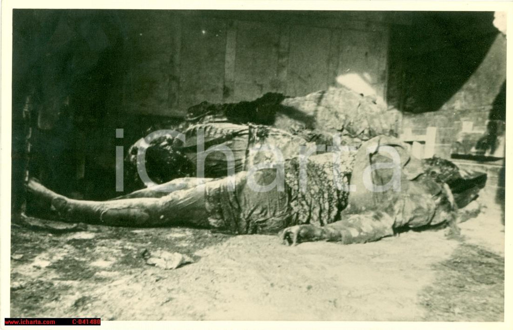 Cartolina originale da collezione 1945 BOMBARDAMENTO DI DRESDA  DRESDEN photo 1