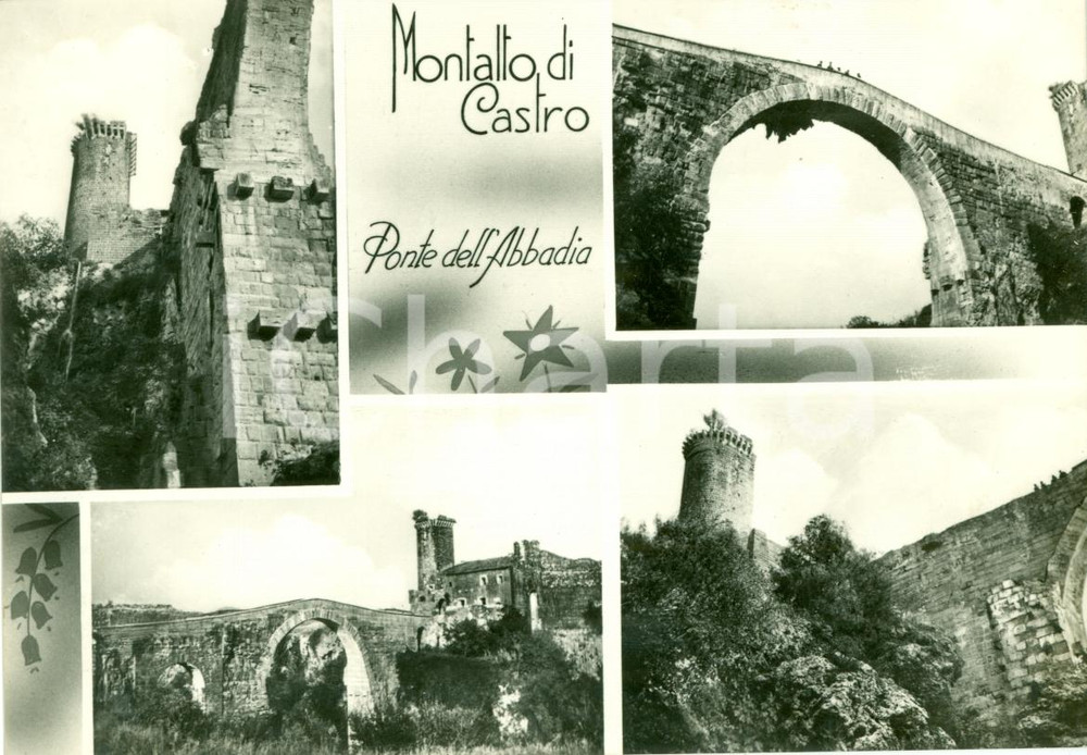 Cartolina originale da collezione 1960 MONTALTO DI CASTRO VT Vedutine Ponte dell'ABBADIA 1