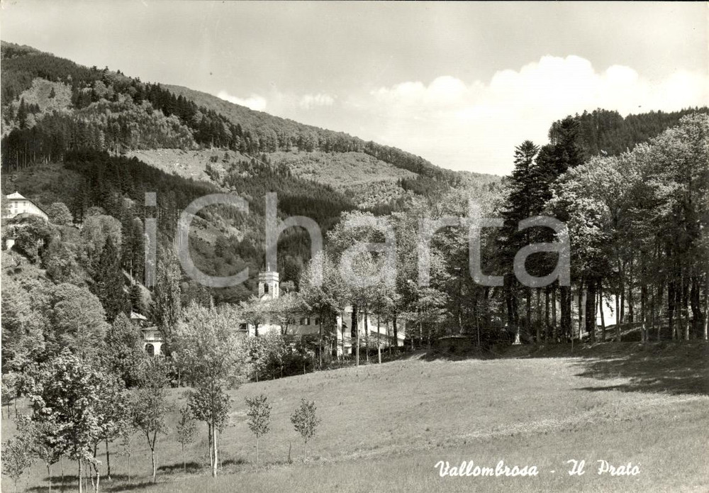 Cartolina originale da collezione 1950 ca VALLOMBROSA Prato di fronte all abbazia FG NV 1