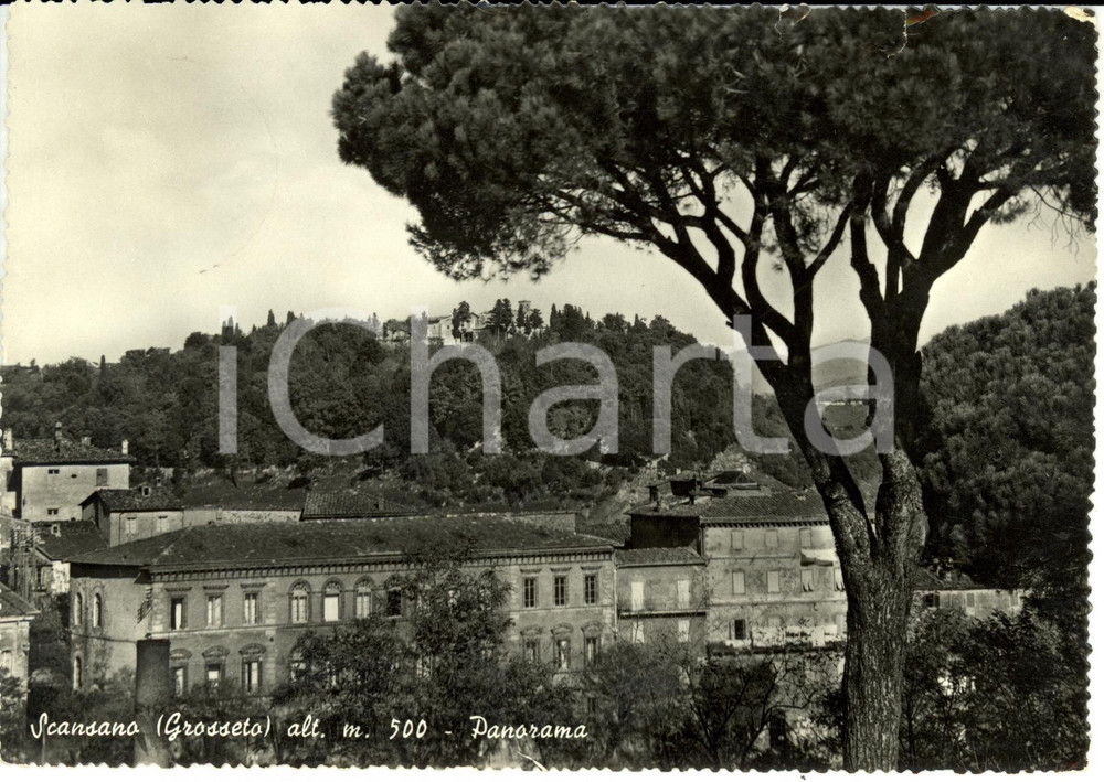Cartolina originale da collezione 1957 SCANSANO GR Panorama con CASTELLO di MONTEPO  Cartolina FG VG 1