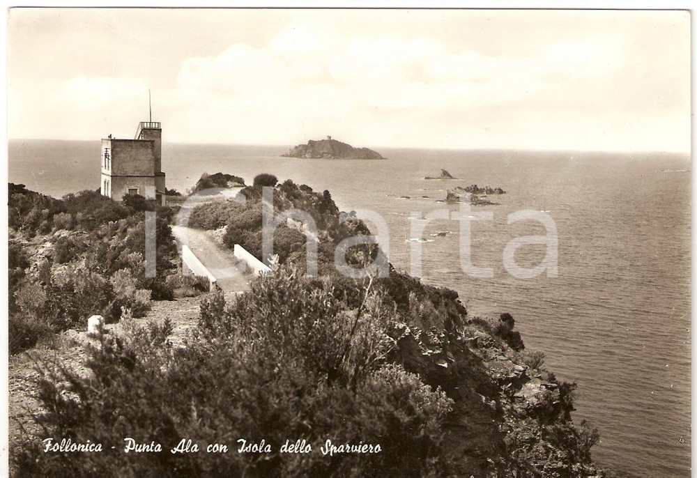Cartolina originale da collezione 1962 FOLLONICA GR PUNTA ALA con ISOLA dello SPARVIERO Cartolina FG VG 1