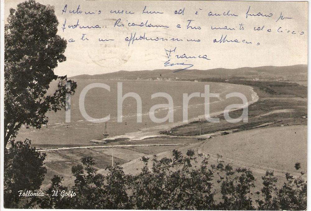 Cartolina originale da collezione 1961 FOLLONICA GR Scorcio panoramico del Golfo Cartolina FG VG 1