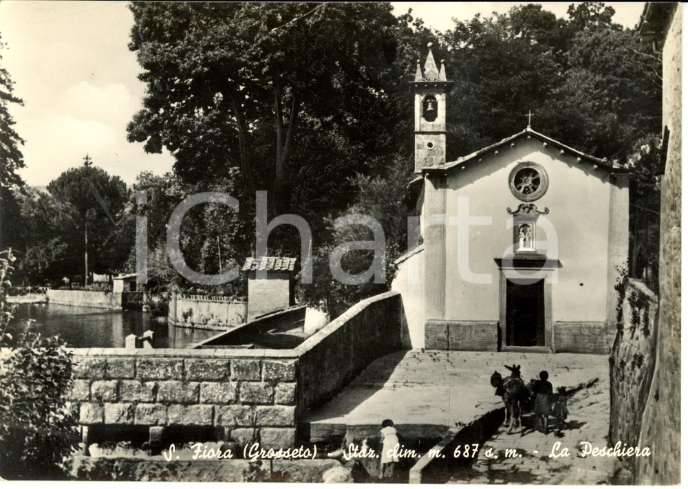 Cartolina originale da collezione 1956 SANTA FIORA GR Scorcio PESCHIERA stazione climatica Cartolina FG NV 1
