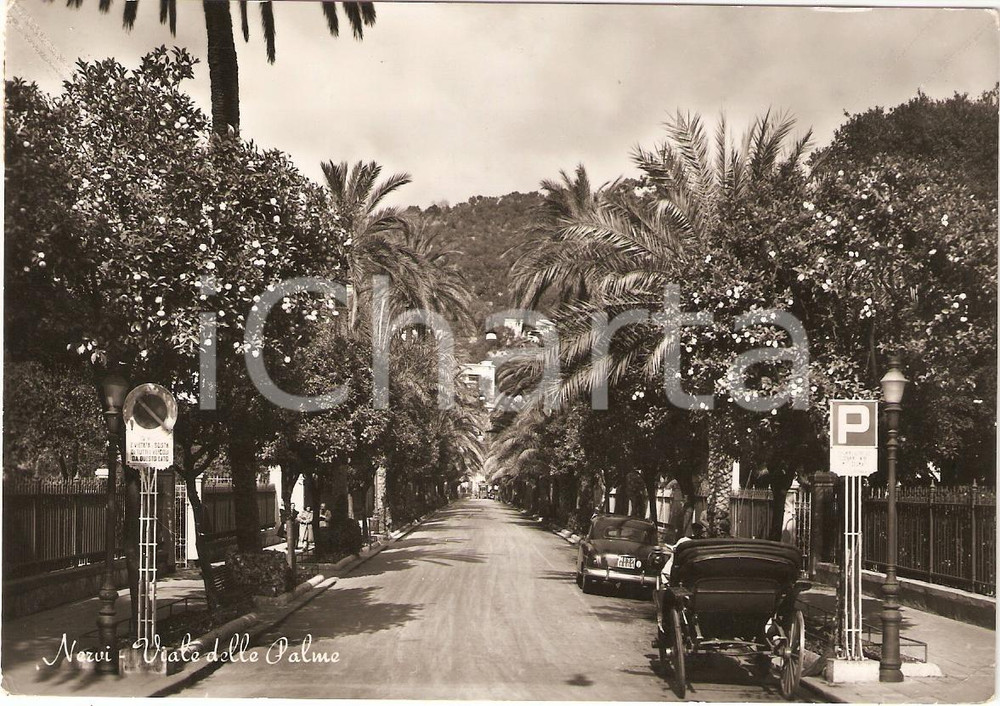 Cartolina originale da collezione 1953 GENOVA NERVI Viale delle Palme con Calesse ANIMATA *Cartolina FG VG 1