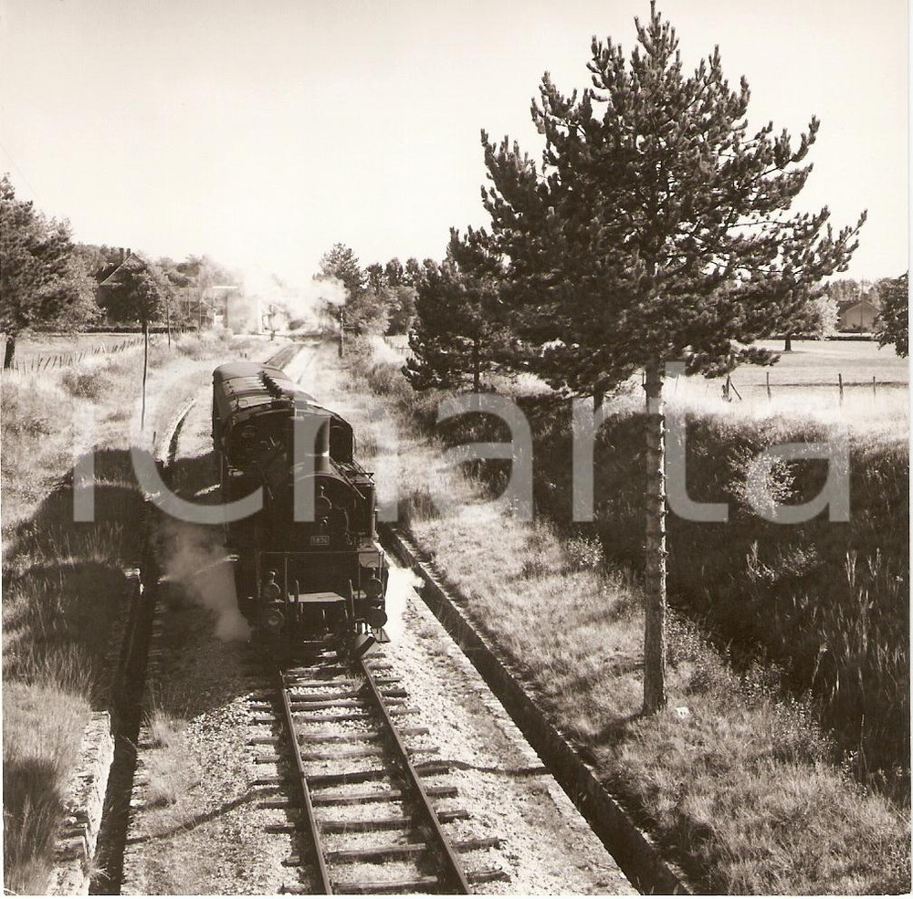 Fotografia d epoca originale 1962 SVIZZERA Ferrovia NYON  CRASSIER Locomotiva Fotografia 1