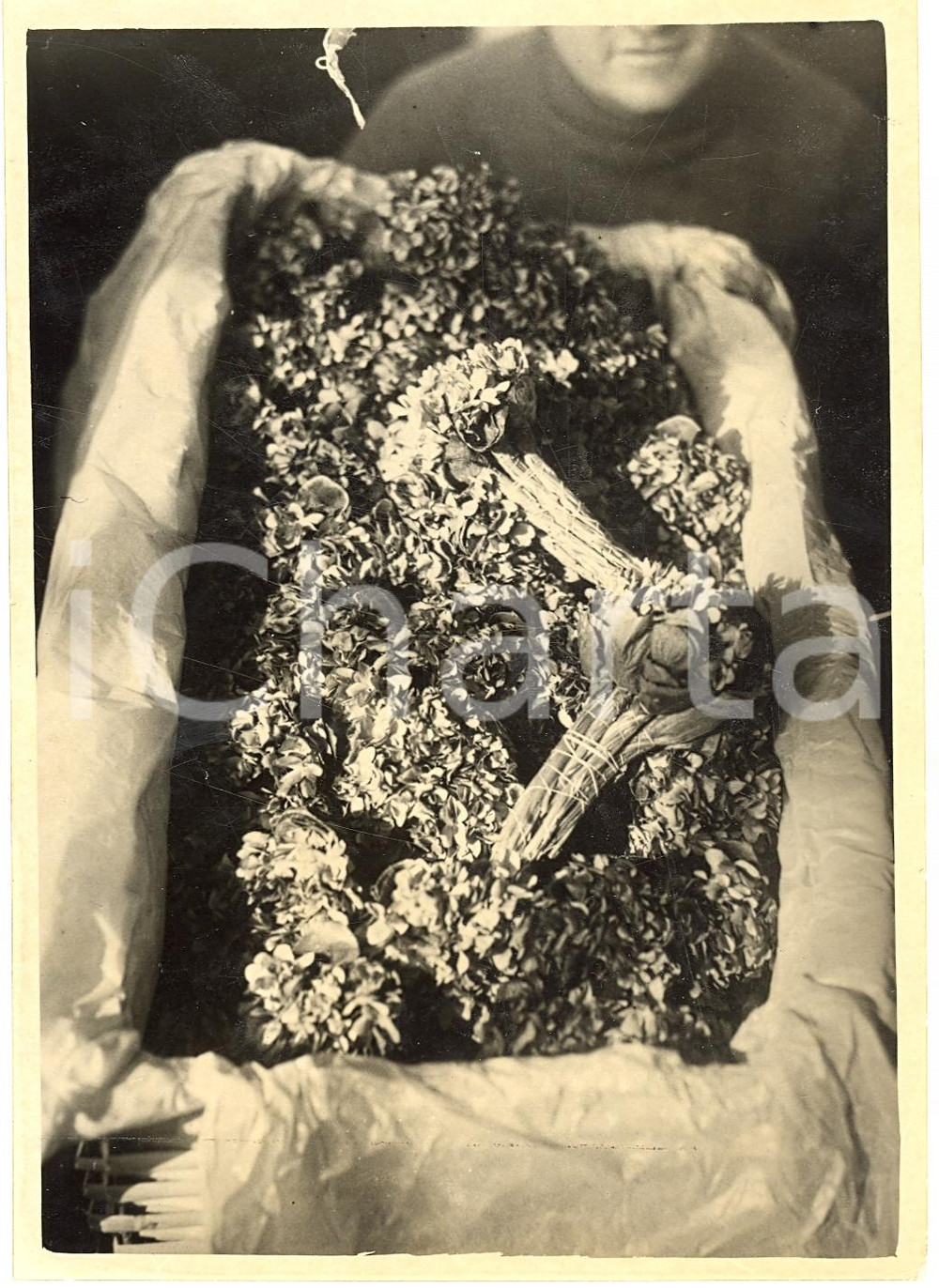 Fotografia d'epoca originale 1937 MILANO Una cesta di fiori al Mercato del VERZIERE 1