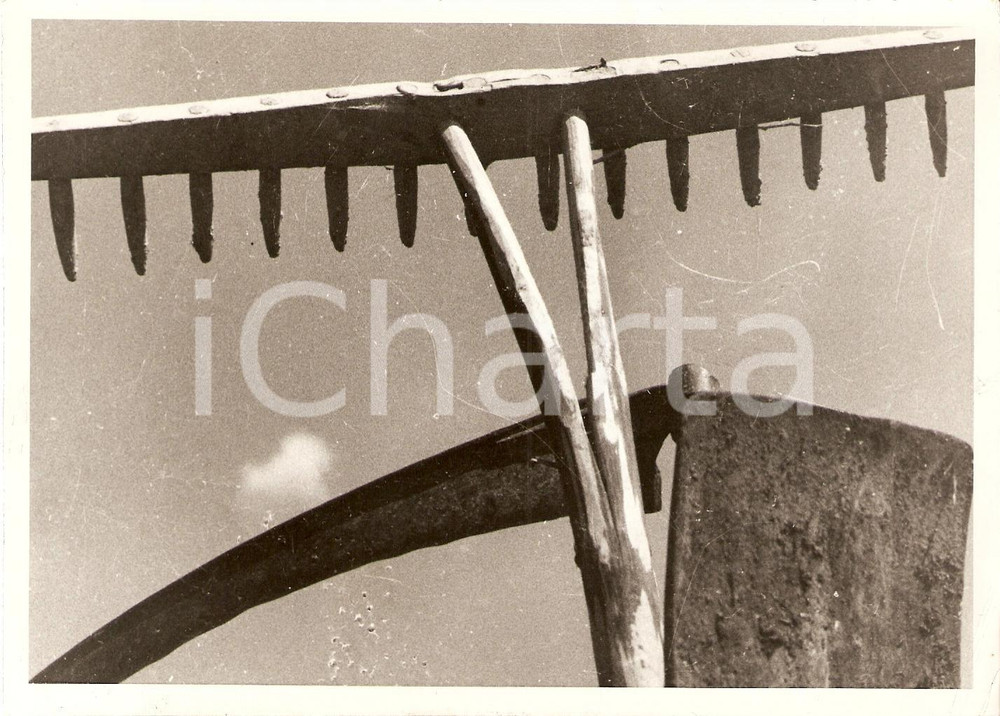 Fotografia d'epoca originale 1939 PROPAGANDA AGRICOLA I sacri attrezzi rurali *Fotografia 1
