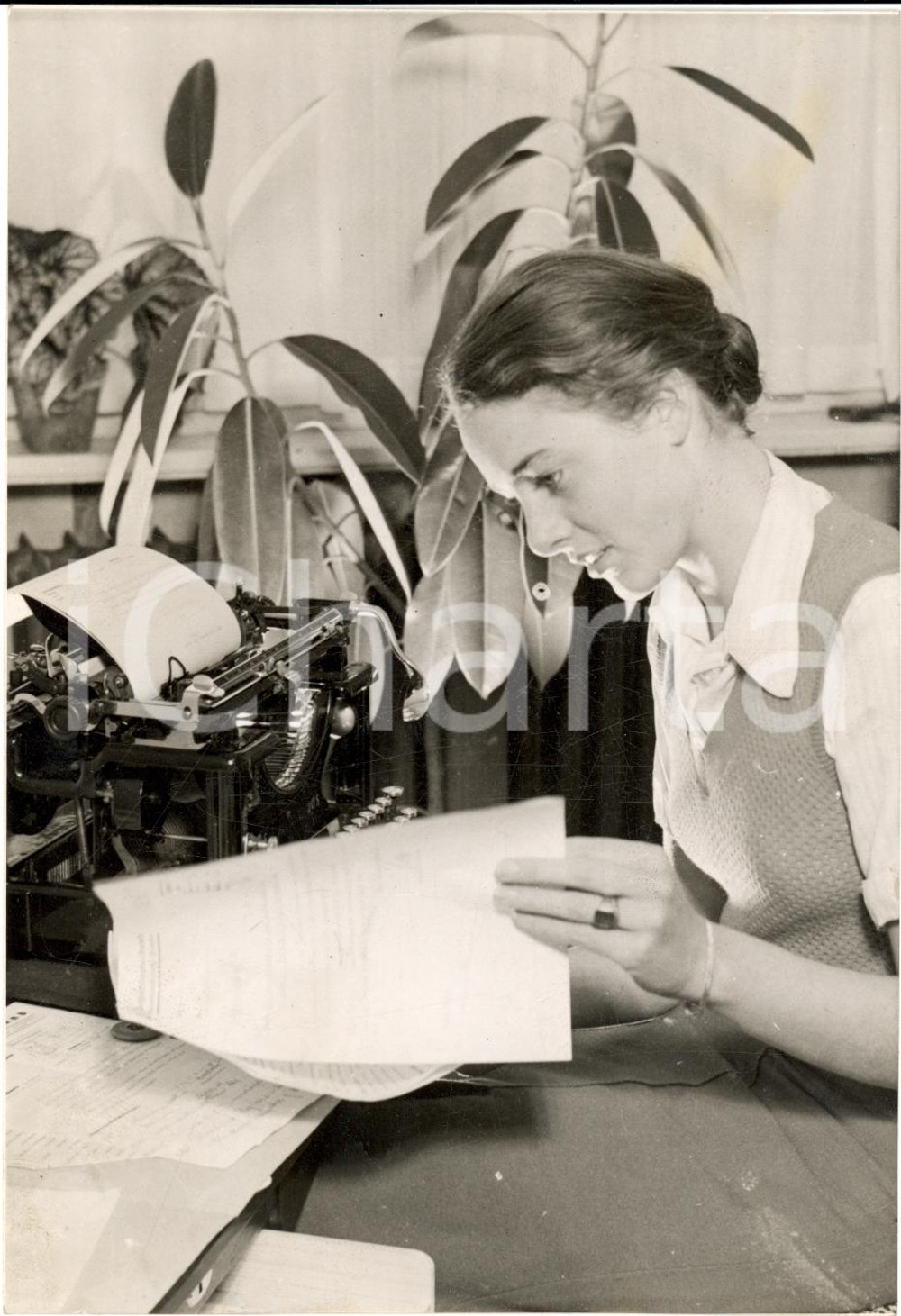 Fotografia d'epoca originale 1941 BERLIN Giovane dattilografa al lavoro alla macchina da scrivere *FOTOGRAFIA 1