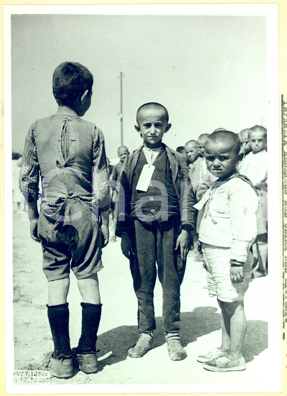 Fotografia d epoca originale 1939 BRINDISI Bambini albanesi in colonia estiva Fotografia 1