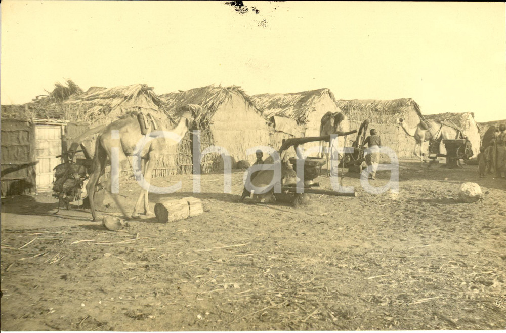 Fotografia d epoca originale 1930 ca SOMALIA Capanne indigene con cammelli Fotografia 1