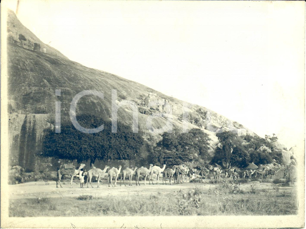 Fotografia d epoca originale 1930 ca BUR HAKABA SOMALIA La carovana vaccinatoria Fotografia 1