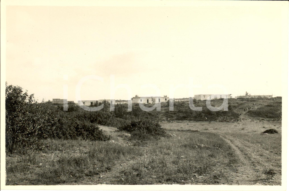 Fotografia d epoca originale 1933 BEIDA LIBIA Nuove case coloniche nelle vallette Fotografia 1