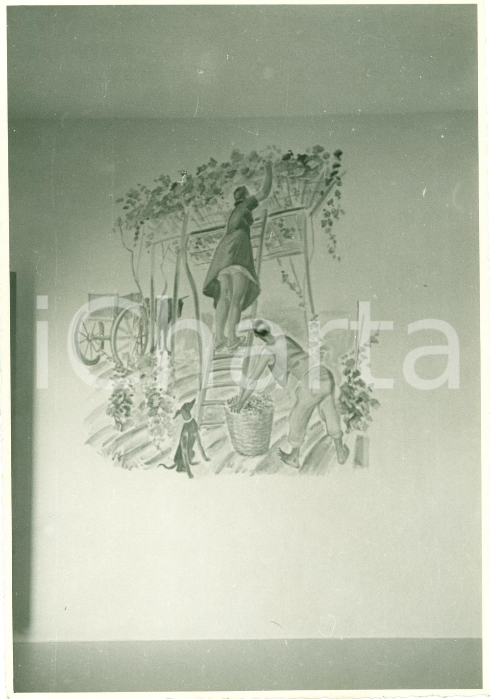 Fotografia d epoca originale 1940 TRAPANI Decorazioni della trattoria di BORGO FAZIO Fotografia 1