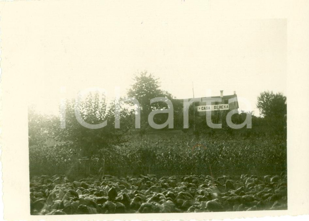 Fotografia d epoca originale 1932 CROCETTA DEL MONTELLO TV Azienda agricola CASA SERENA Fotografia 1