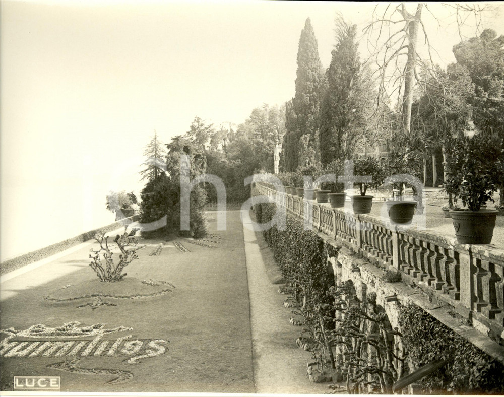Fotografia d epoca originale 1935 STRESA VB Particolare dei giardini di un albergo sul lago Fotografia 1