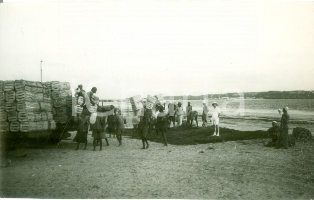 Fotografia d epoca originale 1939 CHISIMAIO SOMALIA AOI Carovana di banane trasportate all imbarco Foto 1