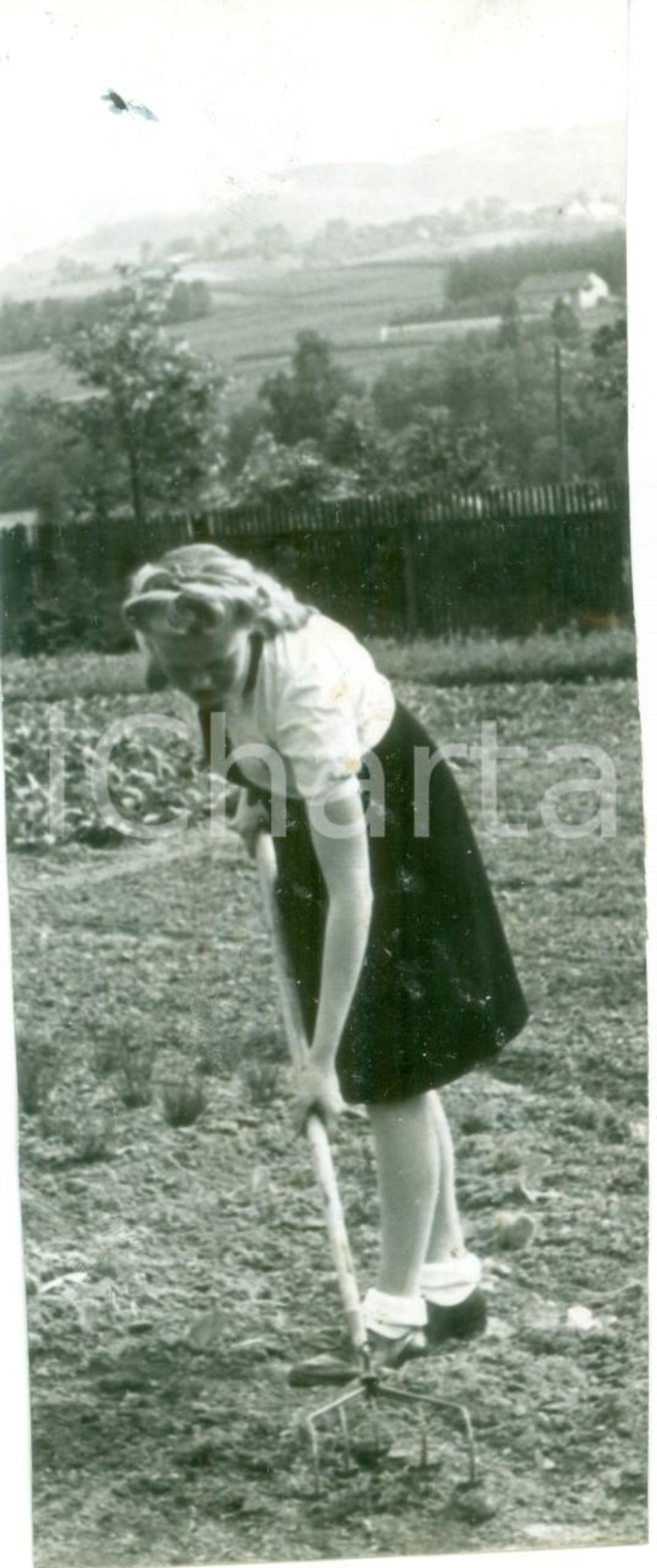 Fotografia d epoca originale 1943 GERMANIA PROPAGANDA WW2 Donne al lavoro nei campi durante la guerra FOTO 1