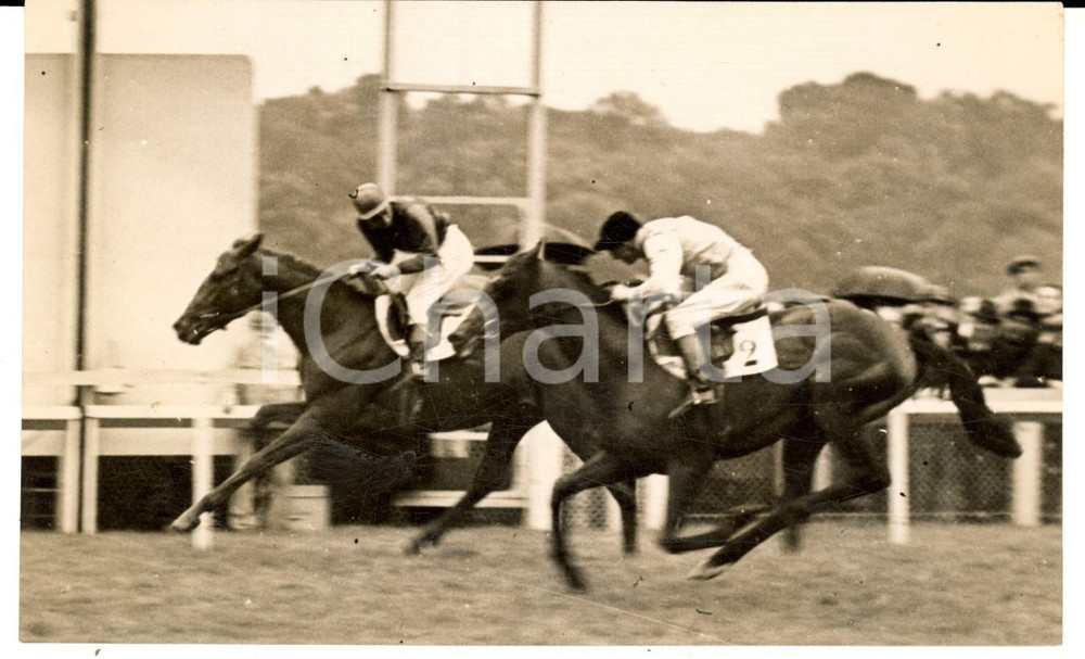 Fotografia d epoca originale 1938 IPPICA PARIS Ippodromo di LONGCHAMP Sconfitta di TENERANI al traguardo 1