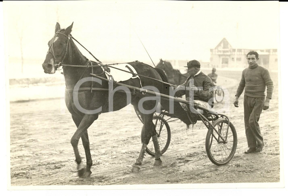 Fotografia d epoca originale 1933 IPPICA MILANO SAN SIRO Premio d Importazione  Il vincitore HANOVER 1
