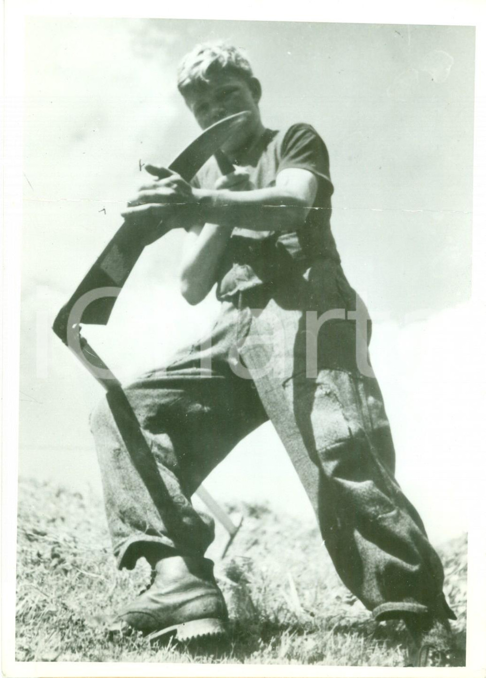 Fotografia d epoca originale 1942 CORTINA ? E  arrivato il tempo della mietitura  Foto 1