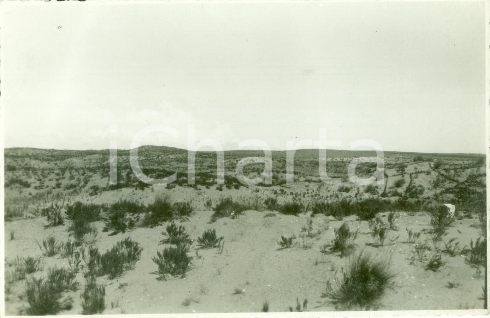 Fotografia d epoca originale 1935 ca AIN ZARA LIBIA Panorama dell arida steppa tripolitana Fotografia 1
