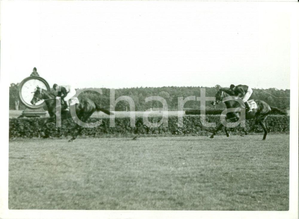 Fotografia d epoca originale 1942 BERLIN HOPPEGARTEN Cavallo TICINO di Otto SCHMIDT vince il Gran Premio Foto 1