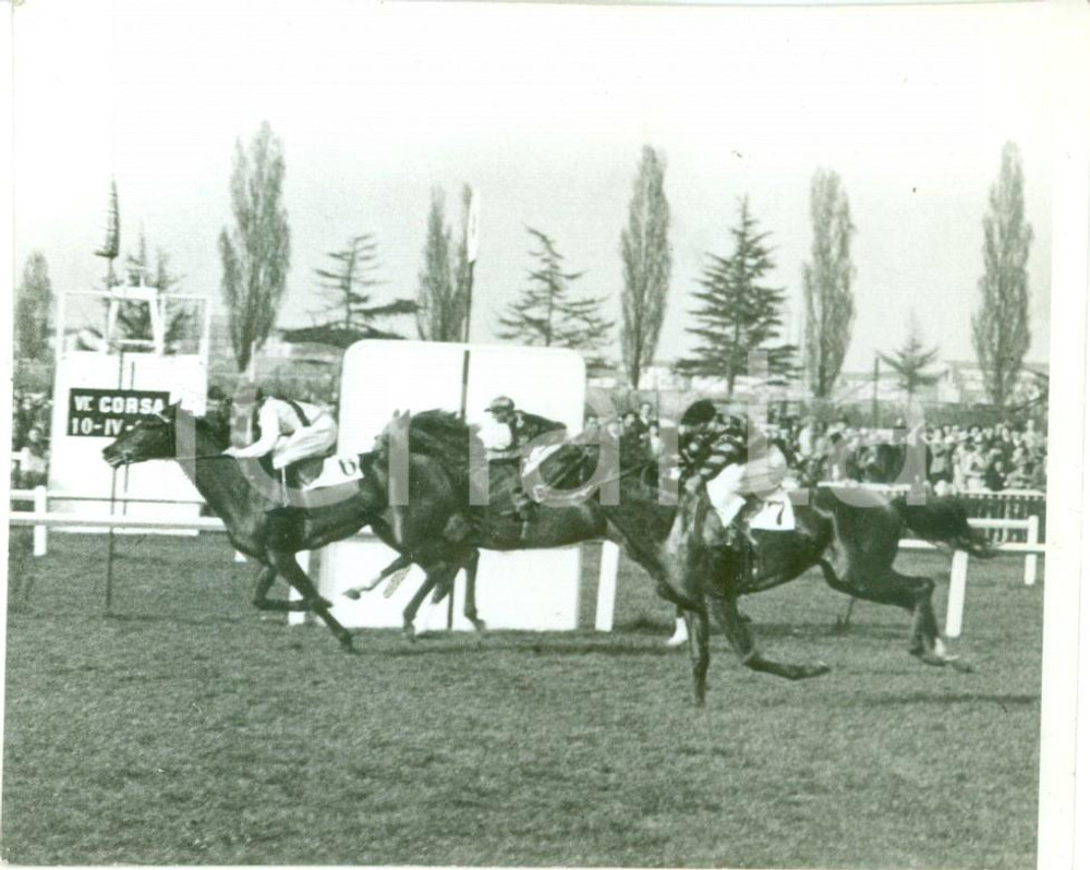 Fotografia d epoca originale 1939 MILANO SAN SIRO L arrivo del Premio SAN GOTTARDO all Ippodromo Fotografia 1