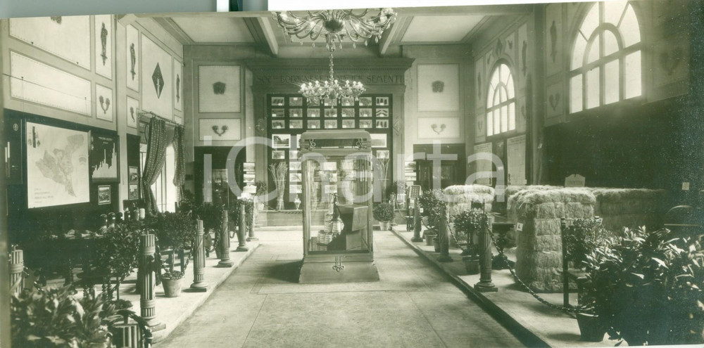 Fotografia d epoca originale 1929 BOLOGNA Esposizione Campionaria Padiglione SocietÃ  Produttori di Sementi 1