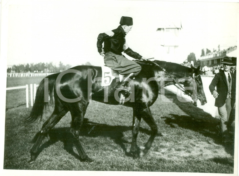 Fotografia d epoca originale 1933 MILANO SAN SIRO Cavallo MARTE torna al peso Premio Giovani Fascisti FOTO 1