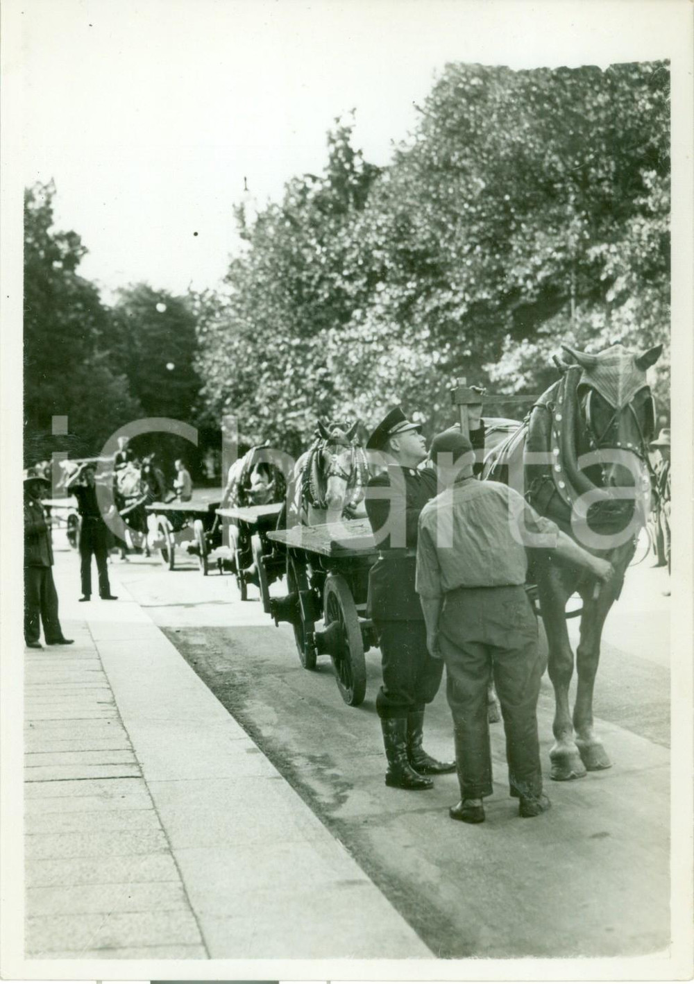 Fotografia d epoca originale 1939 MILANO SAN SIRO Misurazione dell altezza dei cavalli Fotografia 1