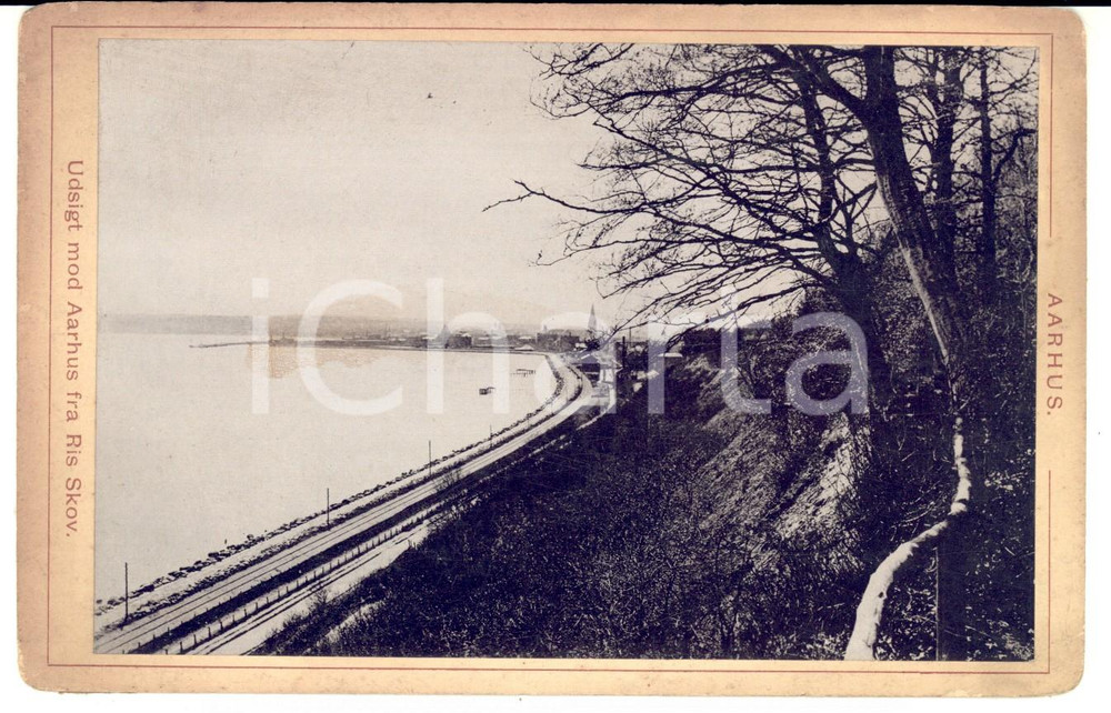 Fotografia d epoca originale 1880 ca AARHUS DENMARK Udsigt fra RISSKOV Foto VINTAGE 17x11 cm 1