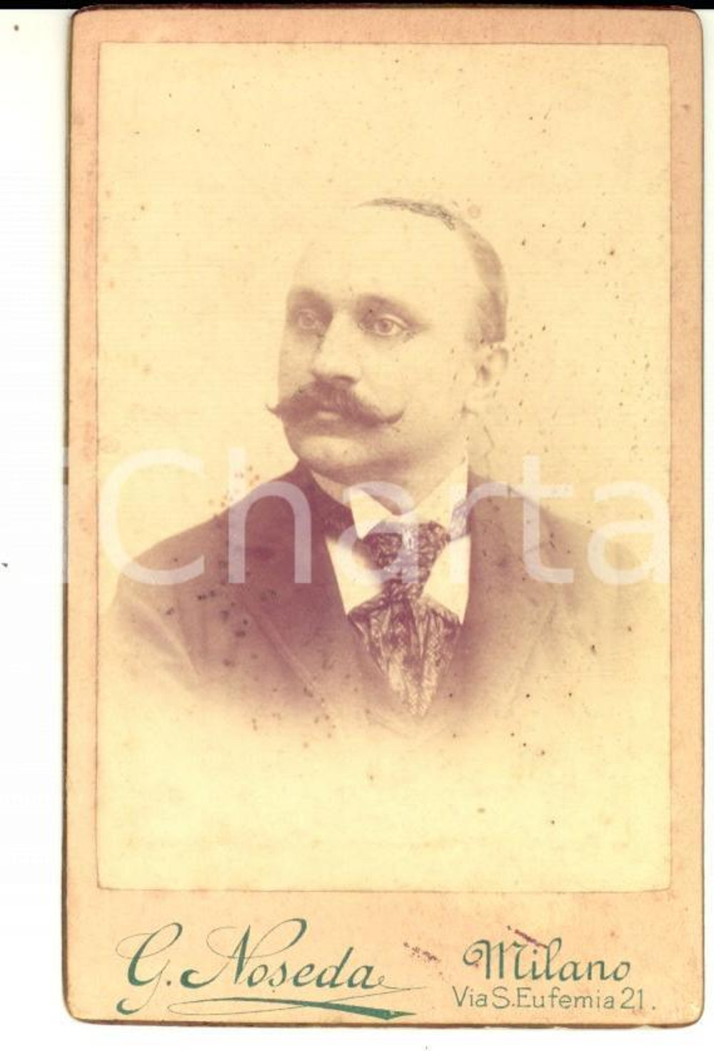 Fotografia d epoca originale 1900 ca MILANO Ritratto maschile con foulard di seta Foto Gianandrea NOSEDA 1