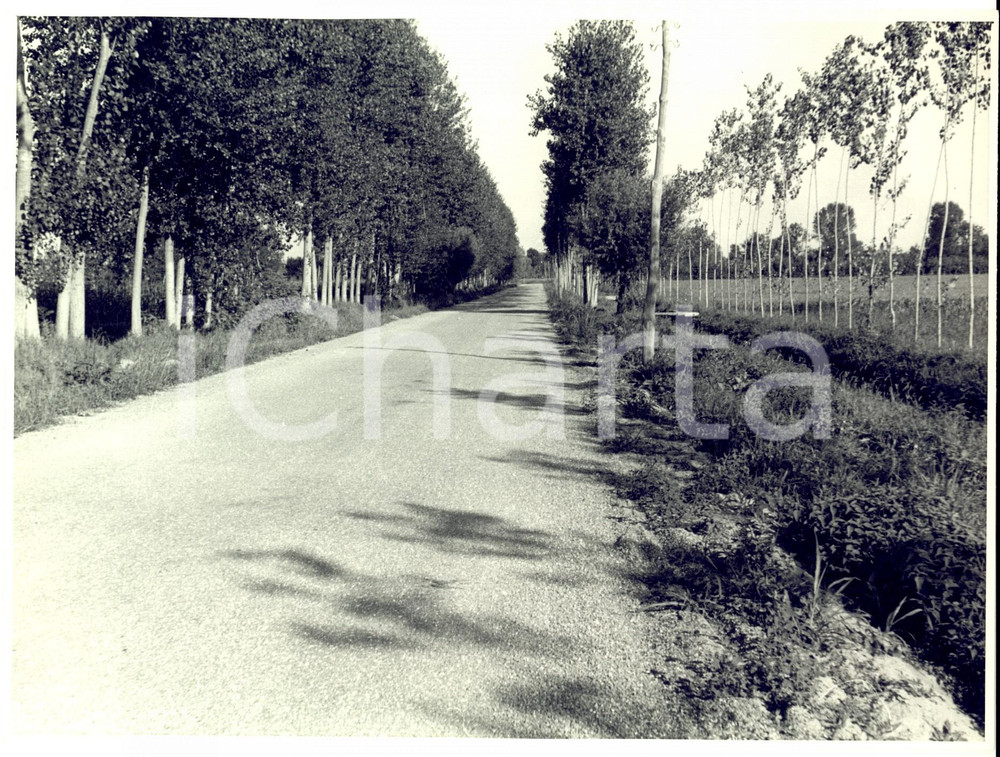Fotografia d epoca originale 1950 ca SUARDI PV Veduta di una strada di campagna FOTO ARTISTICA 23 x 18 1