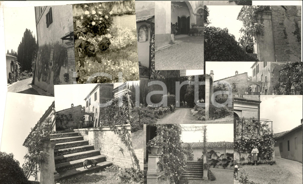 Fotografia d epoca originale 1962 CASTELNUOVO TANCREDI SI Vita rurale Lotto 12 foto VINTAGE 12x8 cm 1