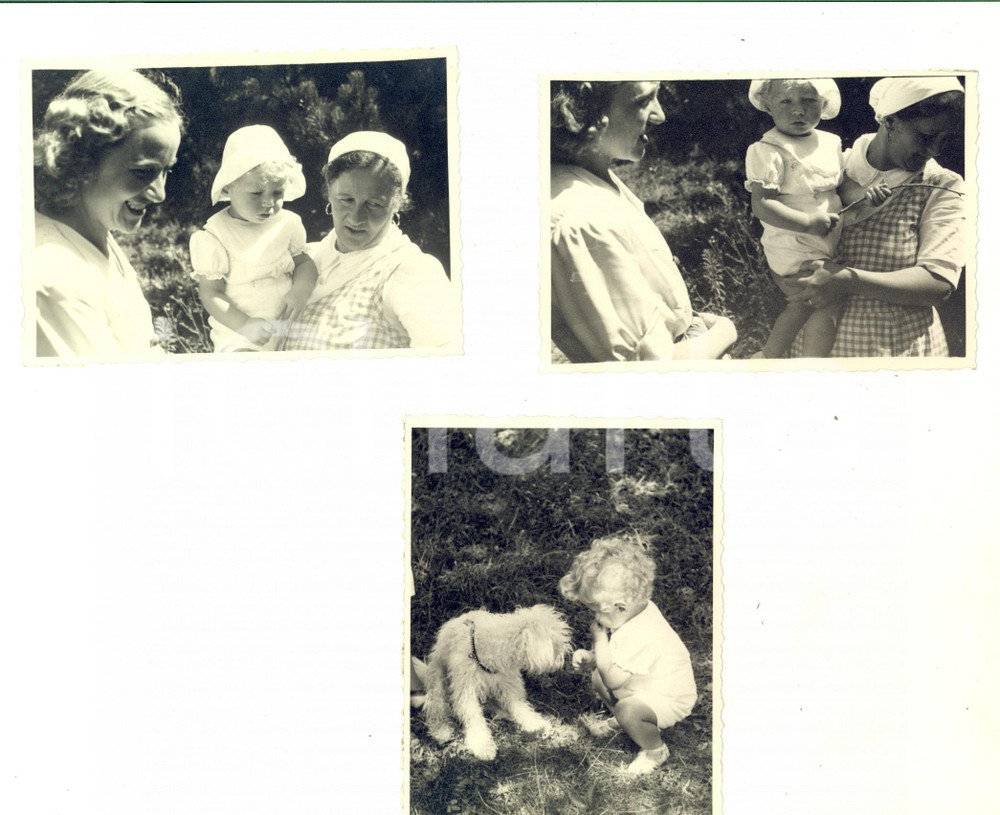 Fotografia d epoca originale 1940 SALICE TERME PV Balia con bambino e il cane Lotto 3 foto VINTAGE 11x9 1