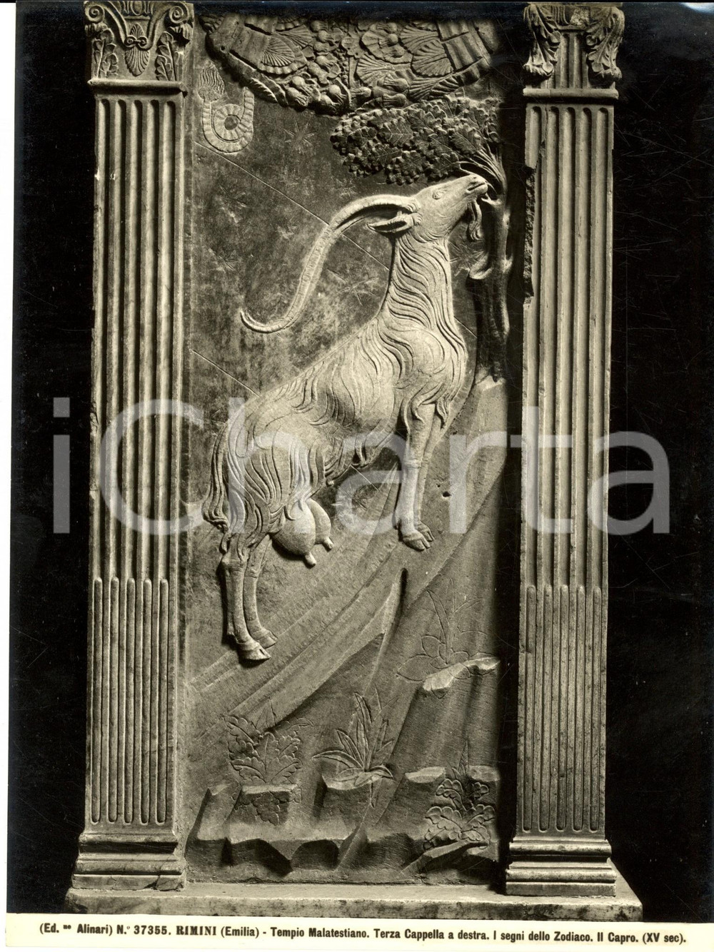 Fotografia d epoca originale 1930 ca RIMINI Tempio MALATESTIANO Segni dello Zodiaco  Il capro Foto ALINARI 1