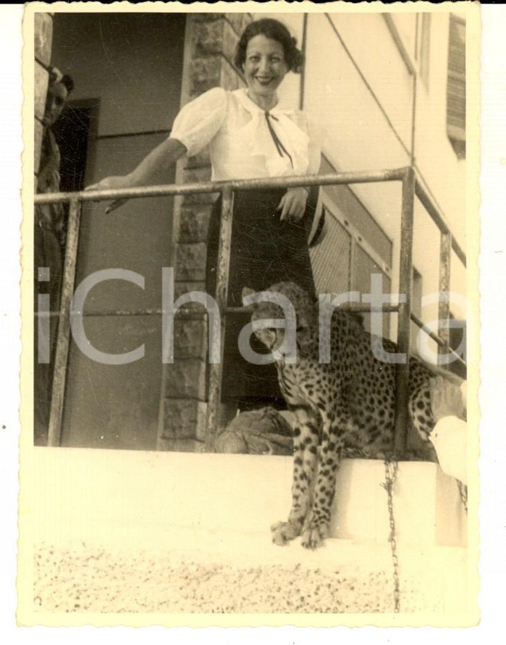 Fotografia d epoca originale 1937 AOI SOMALIA Giovane italiana con un piccolo leopardo Foto CURIOSA 1