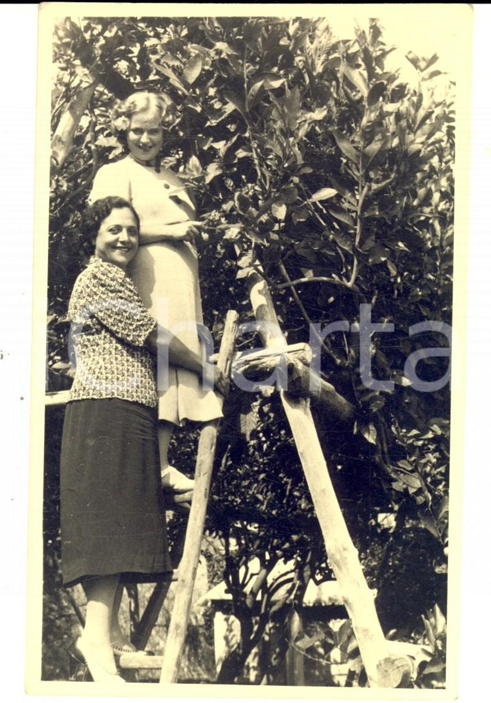 Fotografia d epoca originale 1940 ca NAPOLI Giovani donne in giardino Foto cartolina LANDRISCINA VINTAGE 1