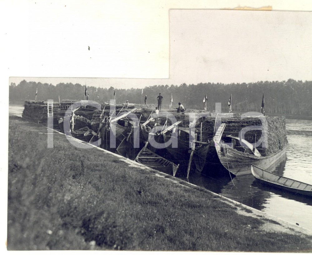 Fotografia d epoca originale 1920 ca AREA VENETA Trasporto di fascine sul Piave Foto DANNEGGIATA 15x11 1