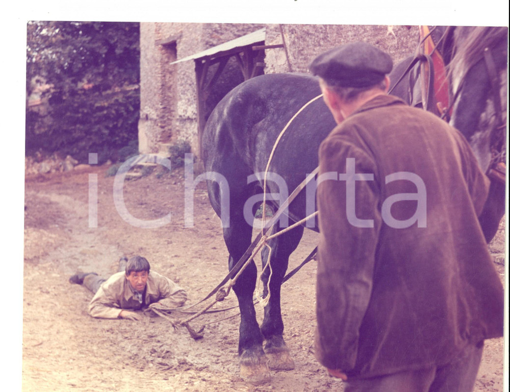 Fotografia d epoca originale 1967 CINEMA UN IDIOT A PARIS Jean LEFEBVRE trascinato da un cavallo Foto 25x19 1