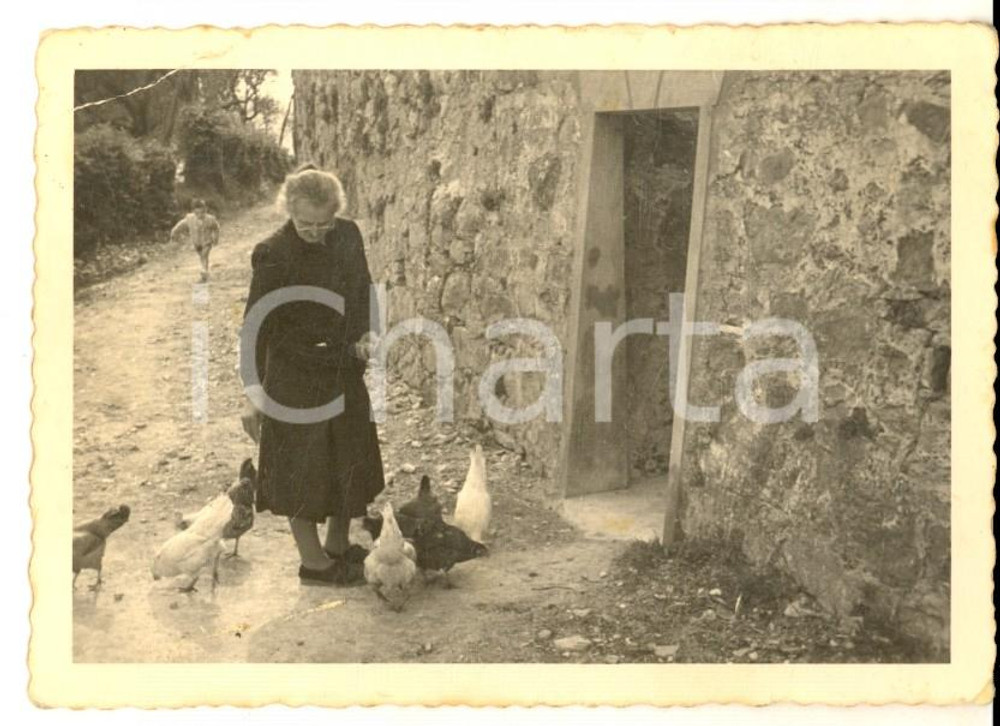 Fotografia d epoca originale 1950 ca AREA LOMBARDA Anziana donna dÃ  il becchime alle galline Foto 10x7 cm 1