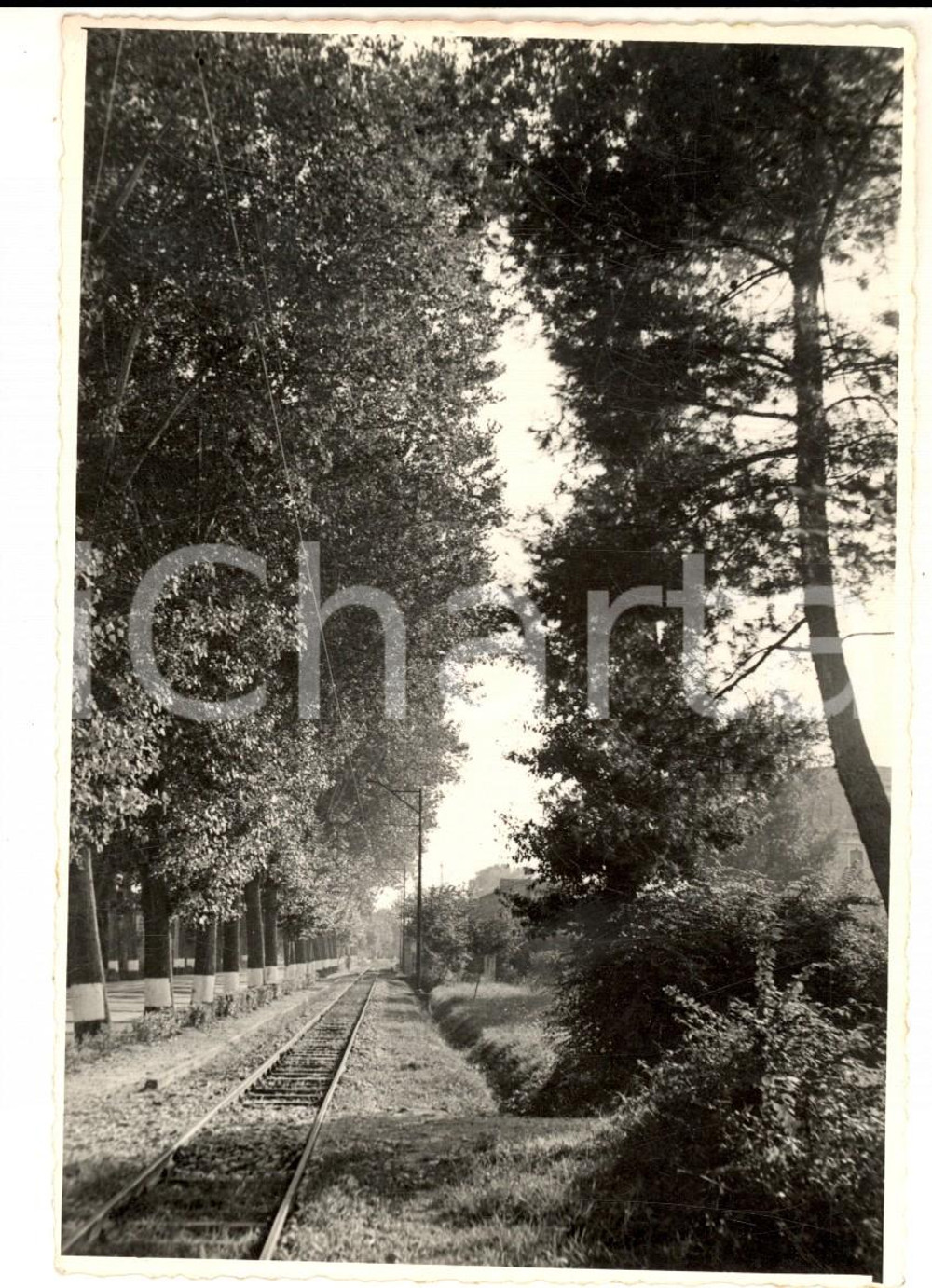 Fotografia d epoca originale 1950 ca AREA LOMBARDA Ferrovia in una localitÃ  di campagna Foto VINTAGE 10x15 1