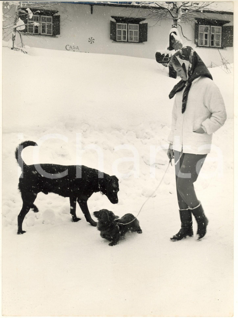 Fotografia d epoca originale 1960 ca KLOSTERS CH Paola del BELGIO sotto la neve con il suo cane Foto 21x27 1