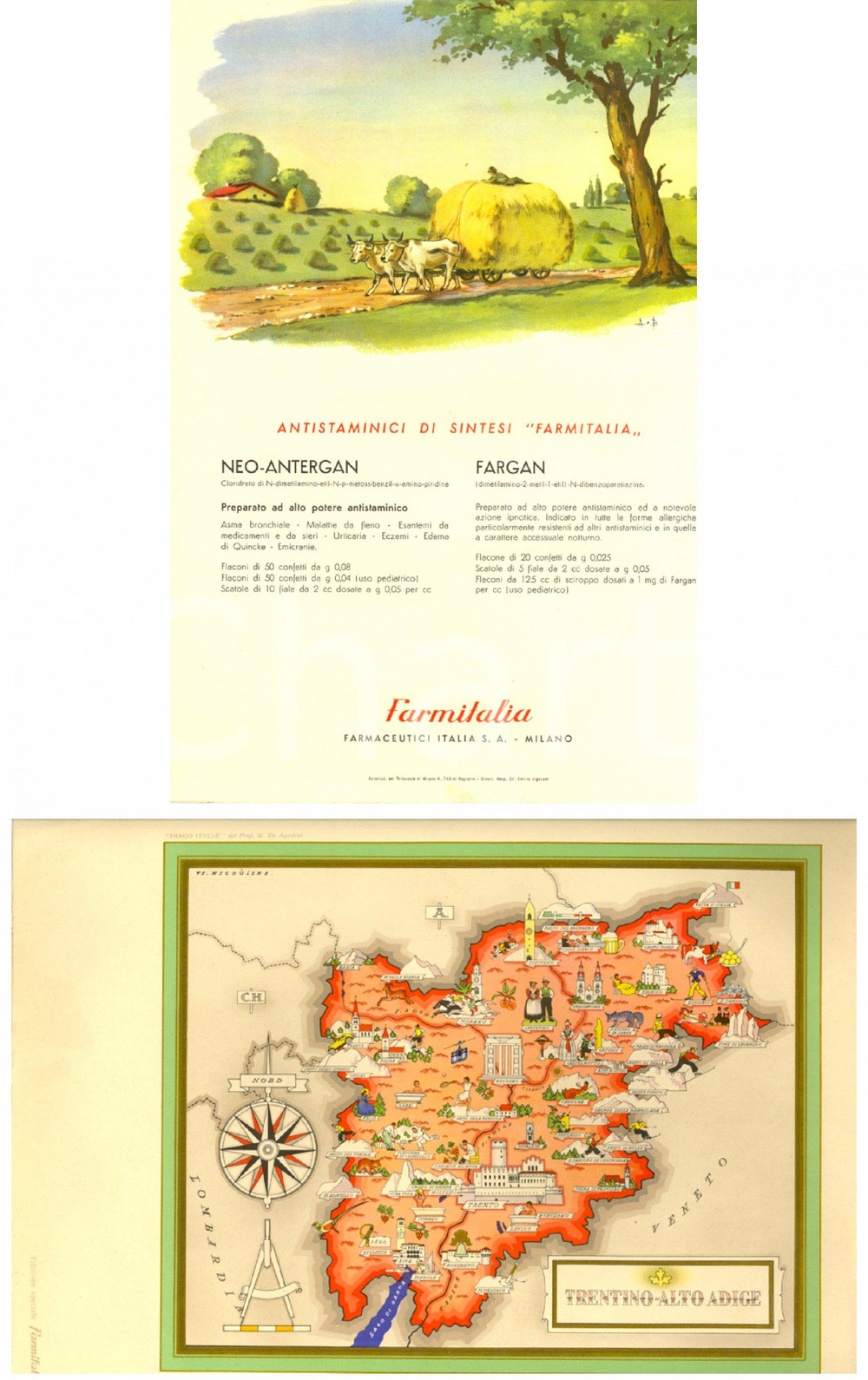 Materiale pubblicitario d’epoca 1951 FARMITALIA IMAGO ITALIAE Trentino Pubblicità FARGAN e NEOANTERGAN 1