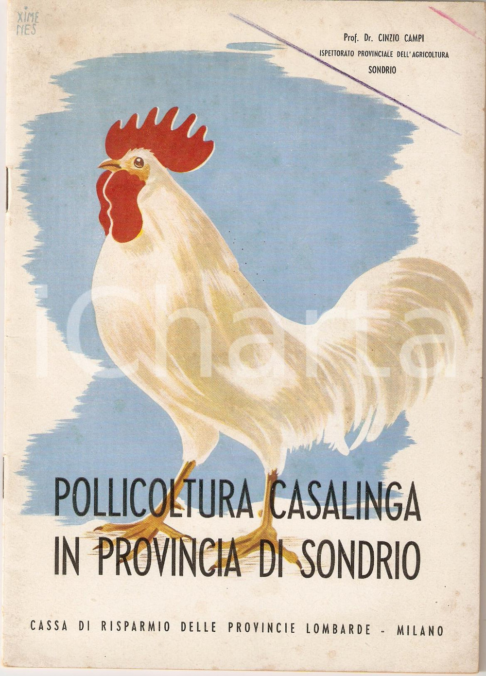 Libro, pubblicazione d epoca 1940 SONDRIO Cinzio CAMPI  POLLICOLTURA CASALINGA Pubblicazione CARIPLO 1