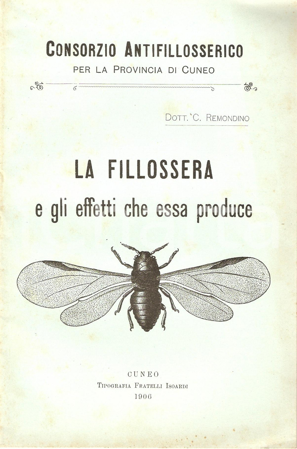 Libro, pubblicazione d epoca 1906 CUNEO Carlo REMONDINO Fillossera CONSORZIO ANTIFILLOSSERICO Pubblicazione 1