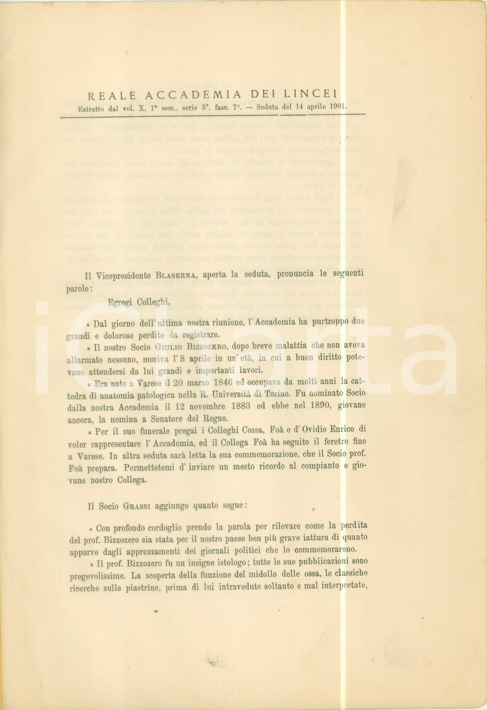 Libro, pubblicazione d epoca 1901 ACCADEMIA LINCEI In morte Giulio BIZZOZERO padre istologia Pubblicazione 1 1