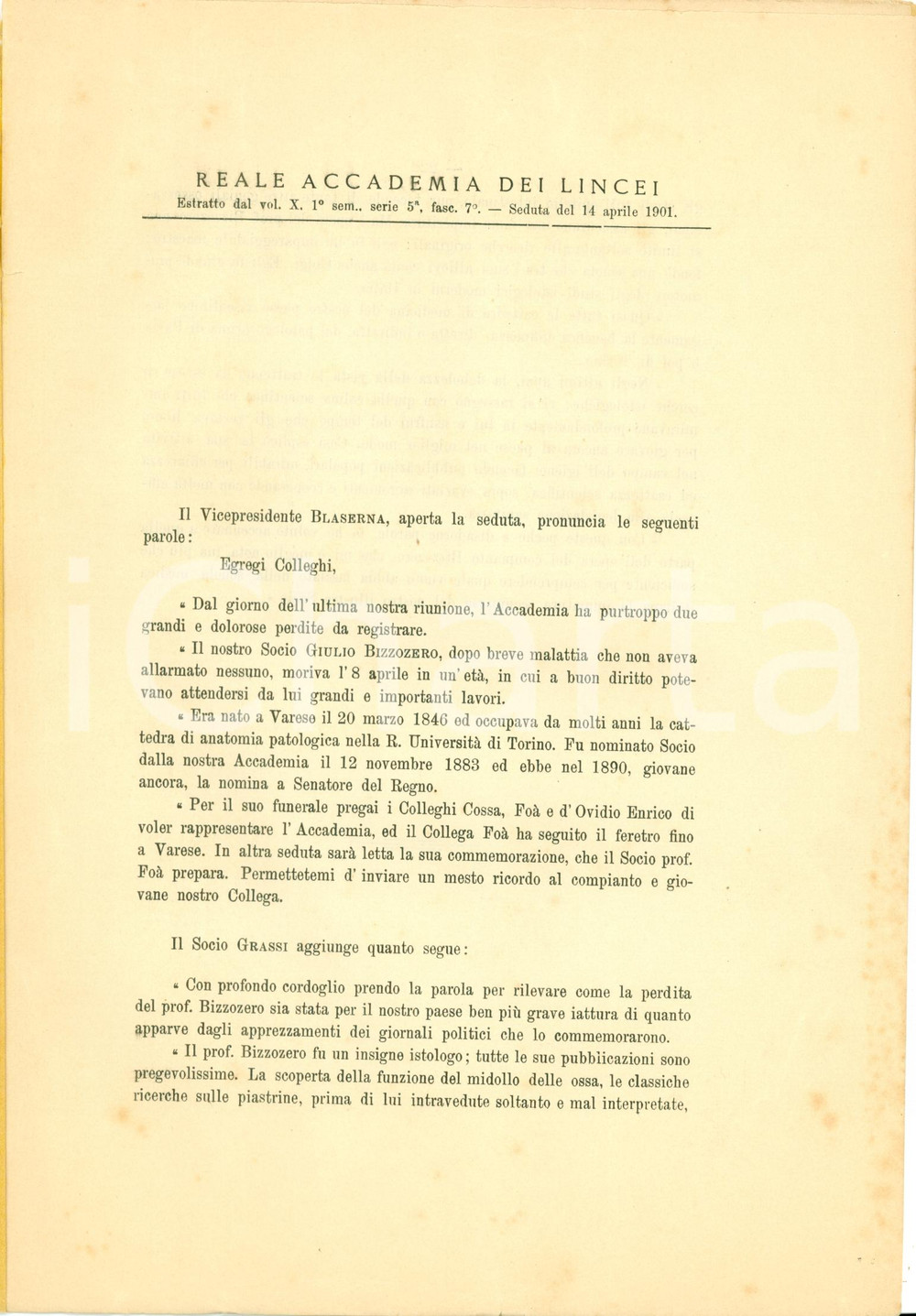 Libro, pubblicazione d epoca 1901 ACCADEMIA LINCEI In morte Giulio BIZZOZERO padre istologia Pubblicazione 3 1