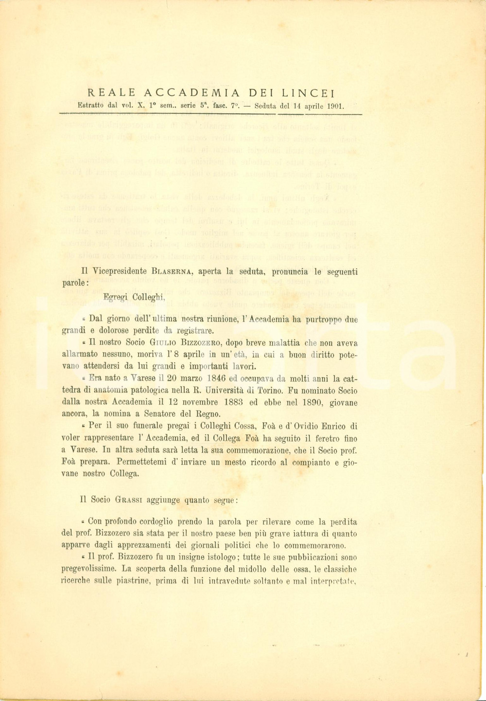 Libro, pubblicazione d epoca 1901 ACCADEMIA LINCEI In morte Giulio BIZZOZERO padre istologia Pubblicazione 4 1
